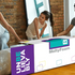 First Mattress in a box in Pakistan